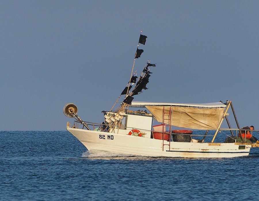 Longliner fishing vessel